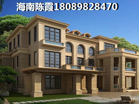 陵水的房子未来会生纸吗？