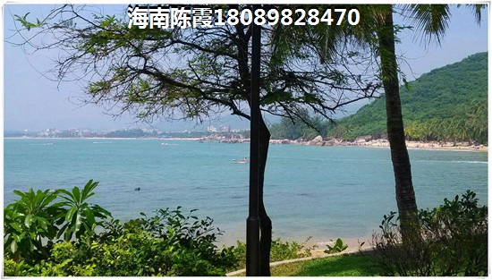 海南陵水土福湾新房怎么样？房子能生纸吗？