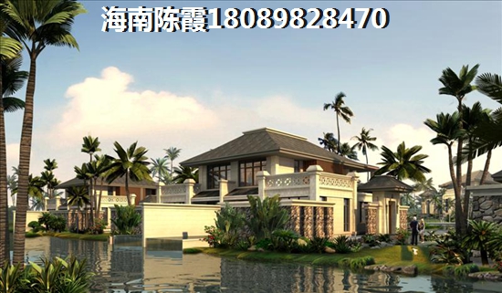海南买房touzi首选哪？陵水对比清水湾生纸前景哪个高？