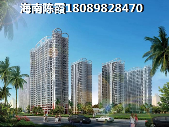 瑶柱干货正宗