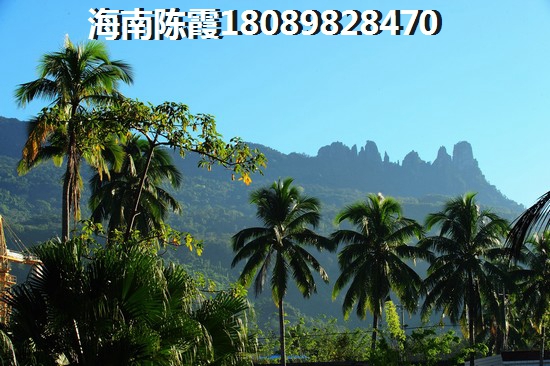装修性冷淡什么风格