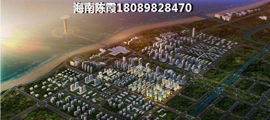 应该的是什么意思?