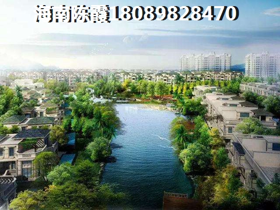 菜鸟和大虾是什么意思