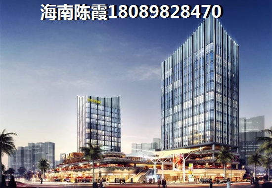 陵水小户型(30/50)平方海景楼房