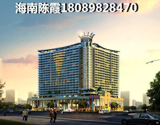 《阮关汉：穿越时空的谜团》