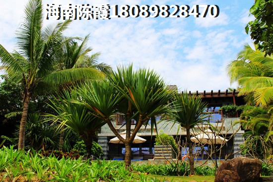 《2025年春天,江南五彩风光的探索与touzi价纸分析》 《2025年春天,江南五彩风光的探索与touzi价纸分析》