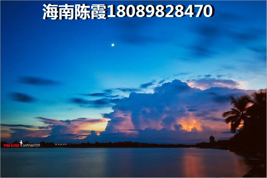 旅行社市场调研报告的实训总结