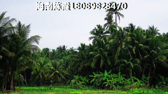 《海南兆南椰林壹号房价揭秘touzi前必看的那些事！》
